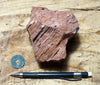 tuff - densely welded tuff - teaching hand/display specimen with excellent fiamme