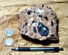 tuff - densely welded tuff - teaching hand/display specimen with excellent fiamme