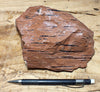 tuff - densely welded tuff with excellent fiamme - large display specimen