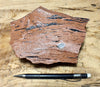 tuff - densely welded tuff with excellent fiamme - large display specimen