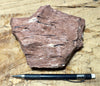 tuff - densely welded tuff with excellent fiamme - large hand/display specimen