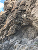 tufa - hand/display specimen from the paleoshoreline of ice age Lake Lahontan