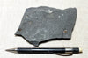 shale - dark gray Upper Cretaceous Mowry Shale from Utah - teaching hand specimen