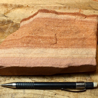sandstone - fine-grained striped aeolian Navajo Sandstone - teaching hand/display specimen