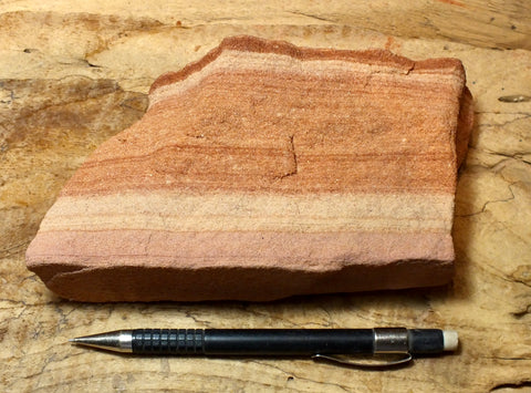 sandstone - fine-grained striped aeolian Navajo Sandstone - teaching hand/display specimen