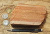 sandstone - fine-grained striped aeolian Navajo Sandstone - teaching hand/display specimen