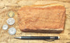 sandstone - fine-grained striped aeolian Navajo Sandstone - teaching hand/display specimen