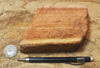 sandstone - fine-grained striped aeolian Navajo Sandstone - teaching hand/display specimen