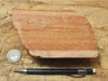 sandstone - fine-grained striped aeolian Navajo Sandstone - teaching hand/display specimen