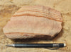 sandstone - fine-grained striped aeolian Navajo Sandstone - teaching hand/display specimen