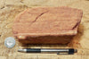 sandstone - fine-grained striped aeolian Navajo Sandstone - teaching hand/display specimen
