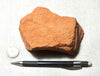 sandstone  -  teaching hand/display specimen of the Navajo Sandstone, a fine-grained orange-pink aeolian sandstone