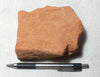 sandstone  -  teaching hand/display specimen of the Navajo Sandstone, a fine-grained orange-pink aeolian sandstone