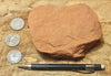 sandstone  -  teaching hand/display specimen of the Navajo Sandstone, a fine-grained orange-pink aeolian sandstone