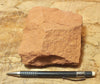 sandstone  -  teaching hand/display specimen of the Navajo Sandstone, a fine-grained orange-pink aeolian sandstone