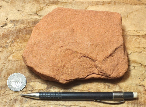 sandstone  -  teaching hand/display specimen of the Navajo Sandstone, a fine-grained orange-pink aeolian sandstone