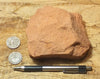 sandstone  -  teaching hand/display specimen of the Navajo Sandstone, a fine-grained orange-pink aeolian sandstone