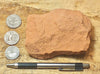 sandstone  -  teaching hand/display specimen of the Navajo Sandstone, a fine-grained orange-pink aeolian sandstone