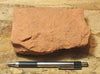 sandstone  -  teaching hand/display specimen of the Navajo Sandstone, a fine-grained orange-pink aeolian sandstone