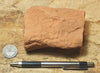 sandstone  -  teaching hand/display specimen of the Navajo Sandstone, a fine-grained orange-pink aeolian sandstone