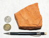 sandstone  -  teaching hand/display specimen of the Navajo Sandstone, a fine-grained orange-pink aeolian sandstone