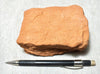 sandstone  -  teaching hand/display specimen of the Navajo Sandstone, a fine-grained orange-pink aeolian sandstone