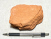 sandstone  -  teaching hand/display specimen of the Navajo Sandstone, a fine-grained orange-pink aeolian sandstone