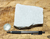 sandstone  -  teaching hand specimen of Jurassic fine-grained white Navajo Sandstone, naturally bleached by reducing fluids