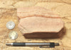 sandstone - fine-grained striped aeolian Navajo Sandstone - teaching hand/display specimen