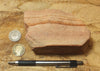 sandstone - fine-grained striped aeolian Navajo Sandstone - teaching hand/display specimen