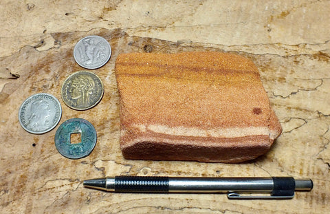 sandstone - fine-grained striped aeolian Navajo Sandstone - teaching hand/display specimen