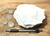 tuff - very pure lithified white volcanic ash mined for Old Dutch Cleanser - teaching hand specimen