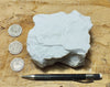 tuff - very pure lithified white volcanic ash mined for Old Dutch Cleanser - teaching hand specimen