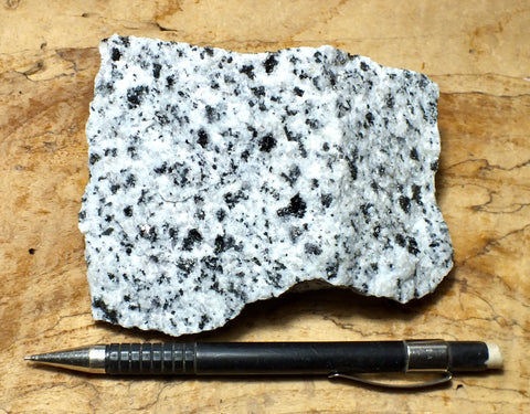 quartz diorite - hand/display specimen of a spectacular subduction-related igneous rock