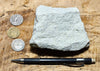 sandstone - white to cream fine-grained Springdale Sandstone Member of the Moenave Formation, a unique silver ore - teaching hand/display specimen