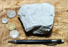 sandstone - white to cream fine-grained Springdale Sandstone Member of the Moenave Formation, a unique silver ore - teaching hand/display specimen