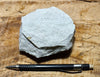 sandstone - white to cream fine-grained Springdale Sandstone Member of the Moenave Formation, a unique silver ore - teaching hand/display specimen