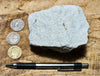 sandstone - white to cream fine-grained Springdale Sandstone Member of the Moenave Formation, a unique silver ore - teaching hand/display specimen