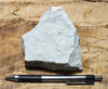 sandstone - white to cream fine-grained Springdale Sandstone Member of the Moenave Formation, a unique silver ore - teaching hand/display specimen