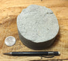 sandstone - medium grained gray - 4" diameter oil well core section from the Stevens Sand