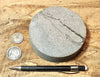 sandstone - medium grained gray - 4" diameter oil well core slice from the Stevens Sand - hand specimen