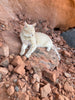 sandstone  -  teaching hand/display specimen of the Navajo Sandstone, a fine-grained orange-pink aeolian sandstone