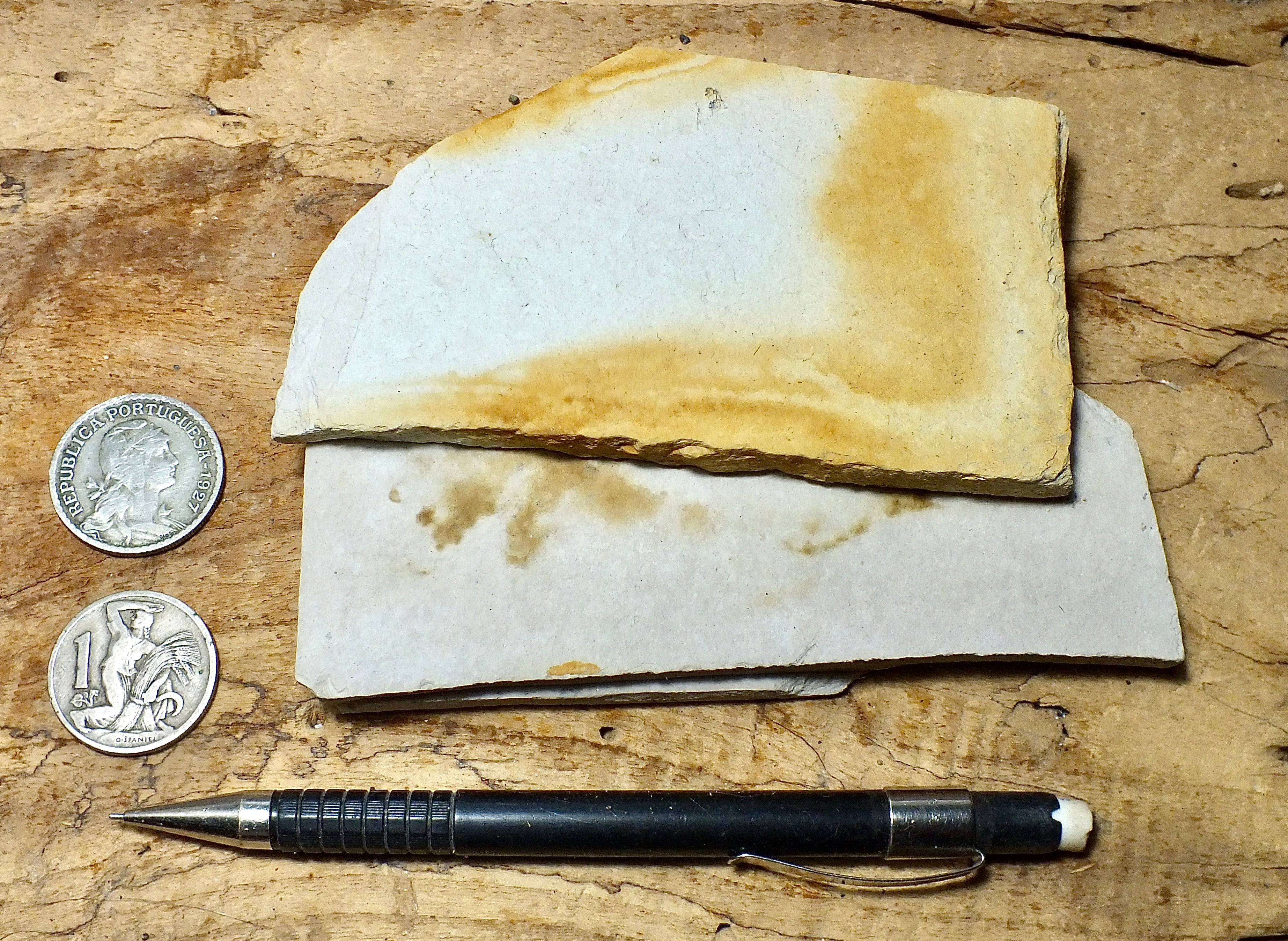 Monterey Formation – Geological Specimen Supply
