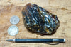 amber - fossil resin from a tropical forest tree in Indonesian Borneo