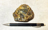 amber - fossil resin from a tropical forest tree in Indonesian Borneo - hand specimen