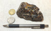 amber - fossil resin from a tropical forest tree in Indonesian Borneo - hand specimen
