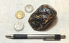 amber - fossil resin from a tropical forest tree in Indonesian Borneo - hand specimen