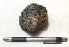 amber - fossil resin from a tropical forest tree in Indonesian Borneo - hand specimen