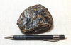 amber - fossil resin from a tropical forest tree in Indonesian Borneo - hand/display specimen