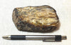 amber - fossil resin from a tropical forest tree in Indonesian Borneo - hand/display specimen